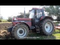 Click to View : Case IH 1455 XL beim Pflügen