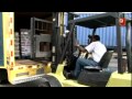 Ver Video