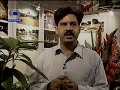 Floriculture in India, Flora Expo coverage Floriculture in India, Flora Expo coverage