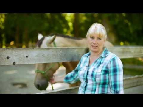 how to treat qld itch in horses