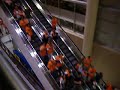 Philadephia Fans after Flyers Victory