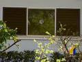 New Mental Health Center Approved In Kaneohe