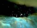 M42 Orion Nebula's Survivor Game