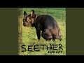 Seether - Careless Whisper default - Seether - Careless Whisper