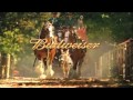 Budweiser reklámok Clydesdale lovakkal 2