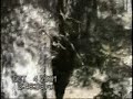 Bowhunting Moose and Bear