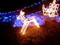 Christmas Illumination 2006. NTT West Kumamoto. 01