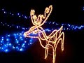 Christmas Illumination 2006. NTT West Kumamoto. 01