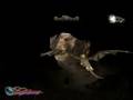 videos de Eragon - Ra'zac chase (lvl 6)
