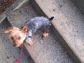 Jan 01 2007 - VID00015