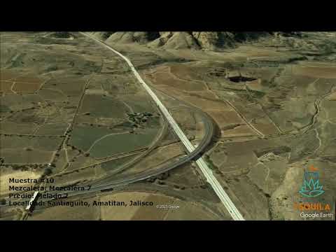 Muestra 10 - Mezcalera 7, Melado 2, Santiaguito, Amatitan, Jalisco