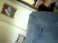 lleida08 viatge 4t ESO