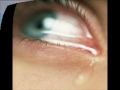 APACALIPSE