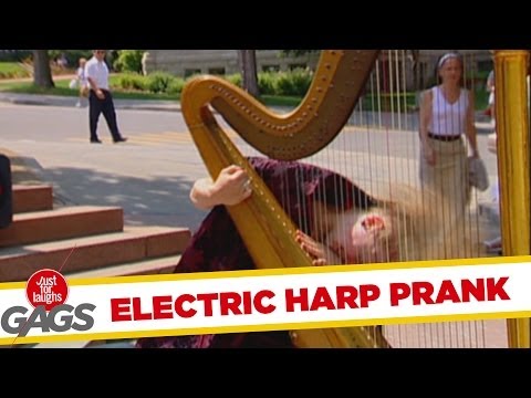 Electric Guitharp Insanity