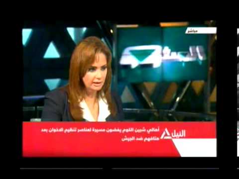 دينا وحسام ابو الفتوح