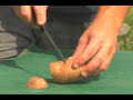 Learn how to plant potatoes in this free video on homegardening. Expert: Doug Smiddy Bio: Doug Smiddy worked for a very popular garden center and nursery for over 6 years, and now owns his own successful business, Smiddy's Gardening Services. Filmmaker: Dale Fitzgerald