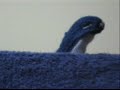 Puppetsoap