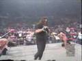 nWo classic wolfpac