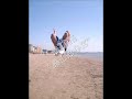 KLina-Dini