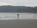 phil severinsen skimming wittys