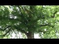 Naturpark Rheinland von Rhein-Eifel.TV