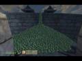 Oblivion Dupe - 10,000 Watermelons Remix