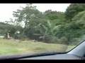 Property in Boquete for sale - LovePanamaRealEstate.com