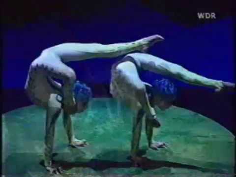 Flexibility, Dislocation, and ...