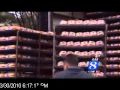 Franz Donation to KGW Food Drive on 6 O'Clock News