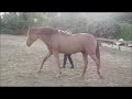 Click here to watch this video Mobidic et Oksana