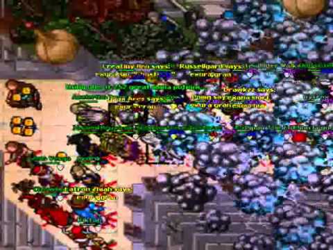 tibia