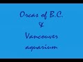 Orcas and Vancouver Aquarium