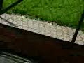 MOV00500.3GP