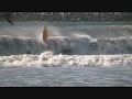 Gonzas wave session - 11-09