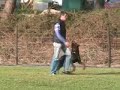III Trofeu de RCI do RCP / AAR