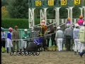 [競馬]緑の服着た発走係がプロレスラー並みのストンピングを競走馬に入れている件のサムネイル