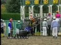 [競馬]緑の服着た発走係がプロレスラー並みのストンピングを競走馬に入れている件のサムネイル2