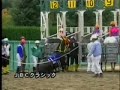 [競馬]緑の服着た発走係がプロレスラー並みのストンピングを競走馬に入れている件のサムネイル3