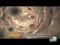 videos de What is cholesterol? by NESVITA in India - 30sec