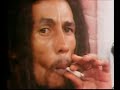 the rastafarian point of view on the herb (marijuana) voiced by the reggae legend bob marley. the accent might be hard to understand for some but what he is telling us the truth about marijuana!
