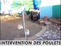 le secret il est français.00.avi