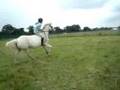 Cantering Bunty Bareback