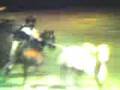 Toros coleados Flecha veloz!