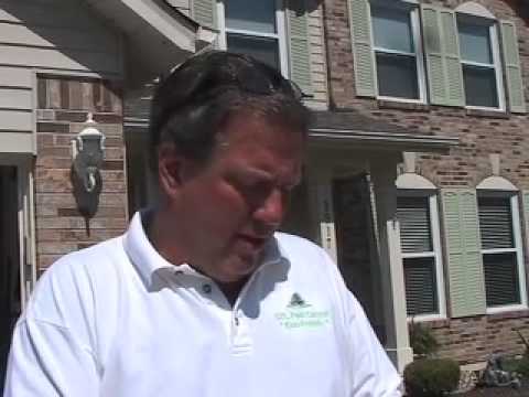 how to treat outside for fleas
