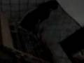 videos de A LERDEZA DE BRUNA ;D