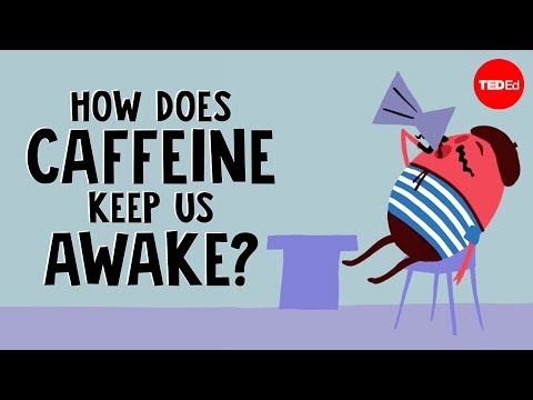 Lesson 16. How does caffeine keep us awake?  Thumbnail