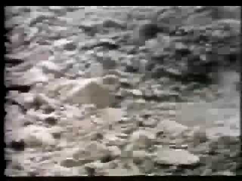 mass wasting