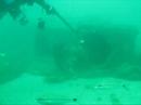 PRO MERO - Goliath Grouper (E. itajara) Conservation Program
