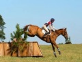 Pine Top Pine Top