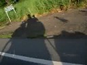 la sombra en la ruta